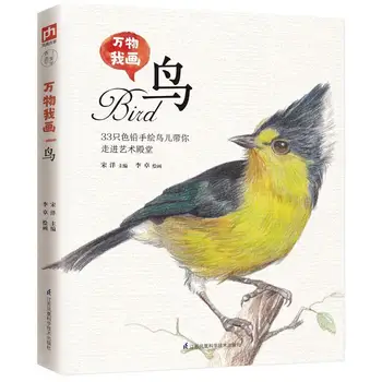 33 ציפורים צבע עיפרון ציור ספר מקסים ציפור ציור טכניקה הספר אפס ציור בסיסי הדרכה הספר