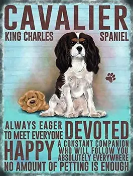 קאבליר קינג צ ' ארלס ספנייל, כלב חיית מתכת, שלט פח, שלט להדפיס תמונה רטרו הקיר הביתה בר פאב משובח, קפה, עיצוב פוסטרים